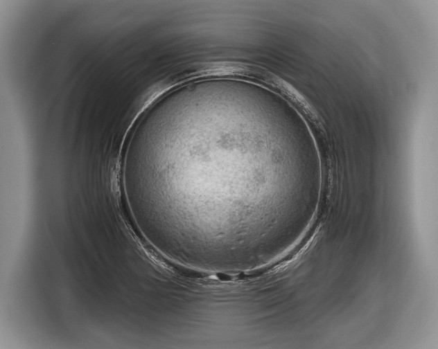 X0000116641178200912210955