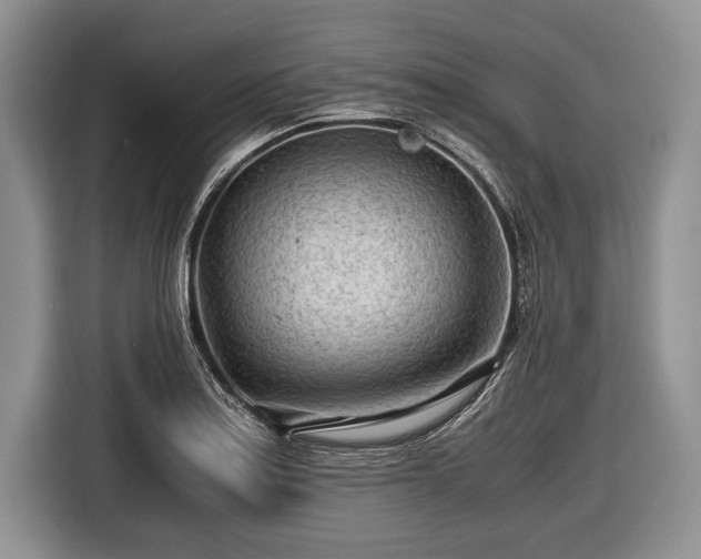 X0000116641179200912210955