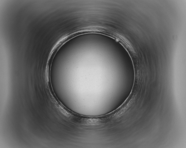 X0000116641180200912210955