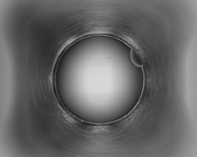 X0000116641181200912210955