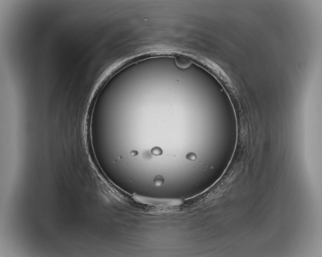 X0000116641183200912210955