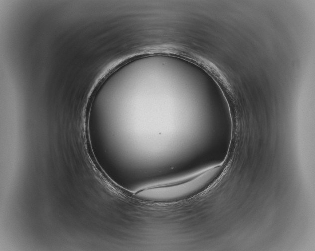 X0000116641184200912210955