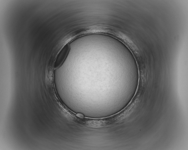 X0000116641185200912210955