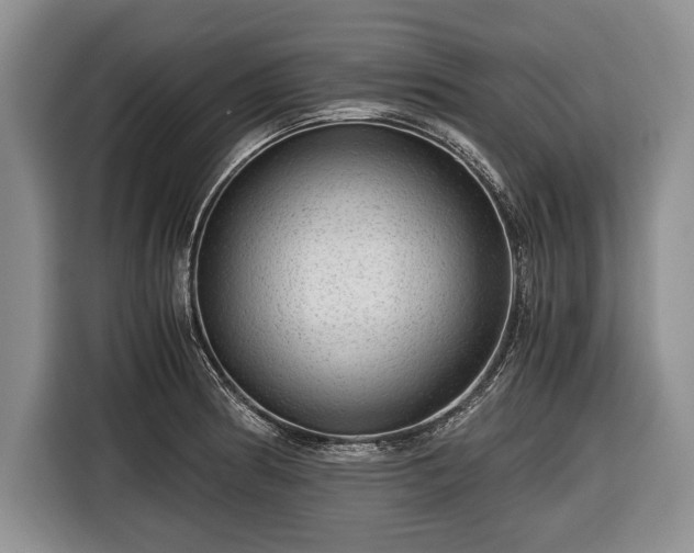 X0000116641186200912210955