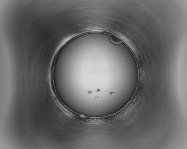 X0000116641187200912210955