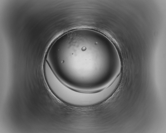 X0000116641189200912210955