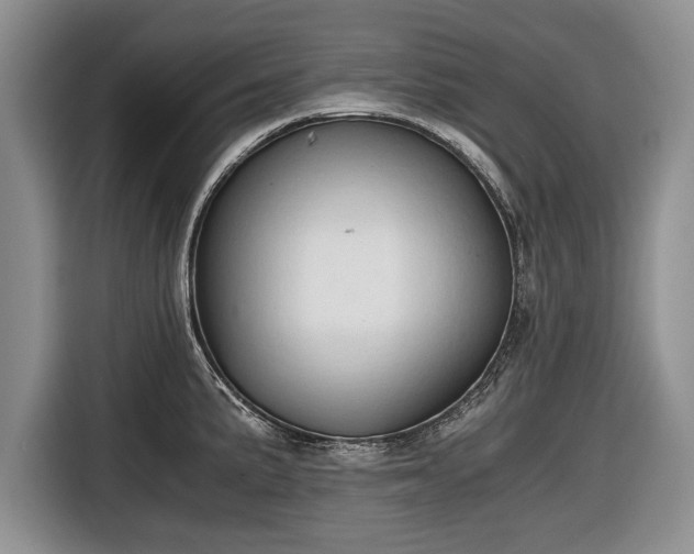 X0000116641191200912210955