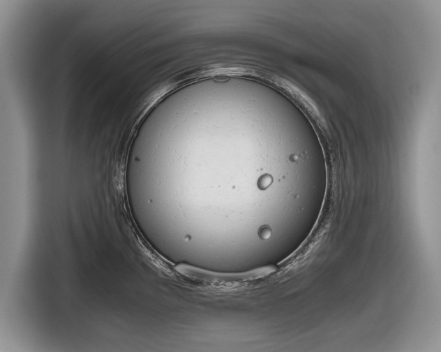 X0000116641193200912210955