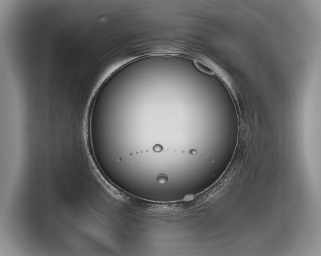 X0000116641195200912210955