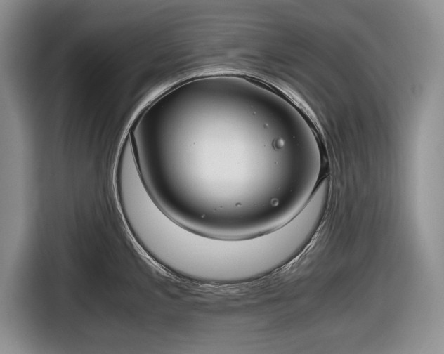 X0000116641197200912210955