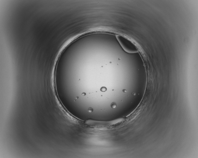 X0000116641199200912210955