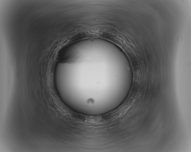 X0000116641201200912210954