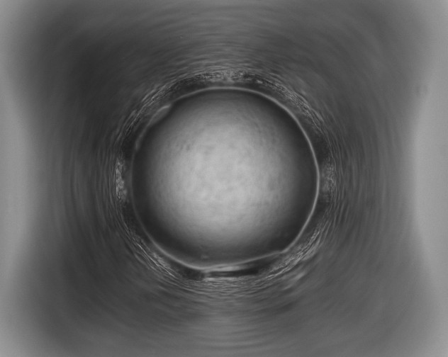 X0000116641202200912210954