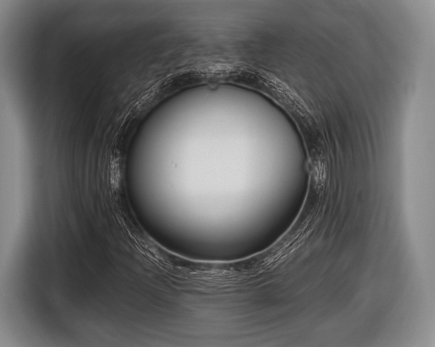 X0000116641204200912210954