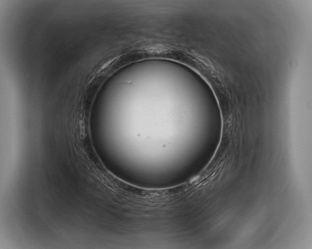 X0000116641205200912210954