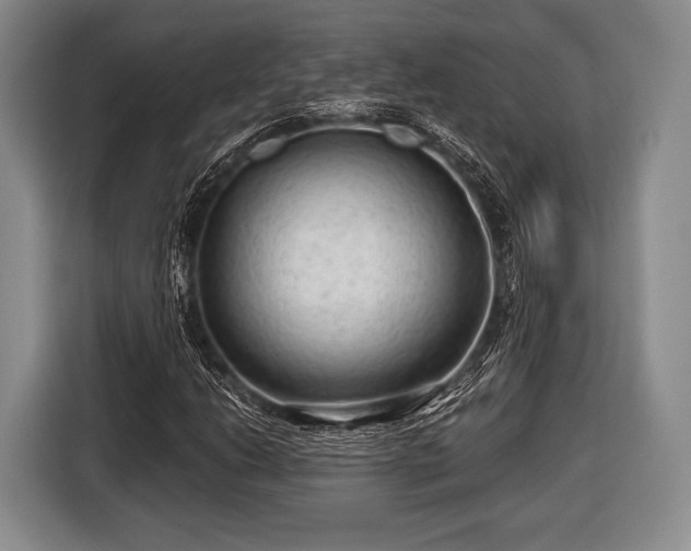 X0000116641206200912210954