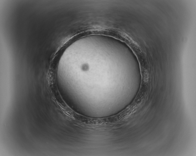 X0000116641208200912210954