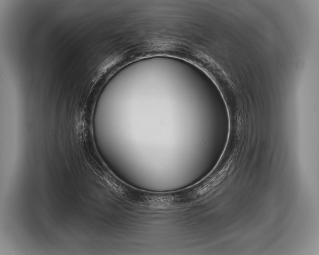 X0000116641210200912210955