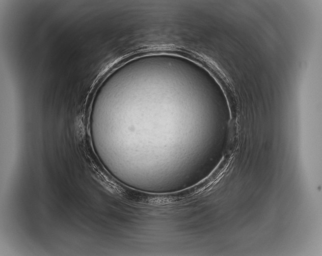 X0000116641212200912210955