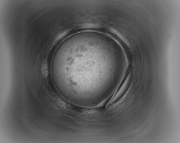 X0000116641213200912210955