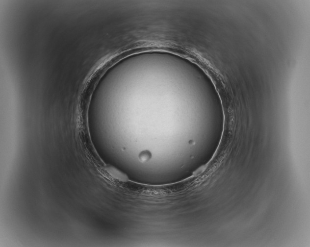 X0000116641215200912210955