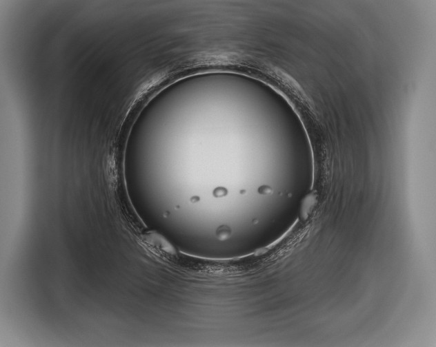 X0000116641218200912210955