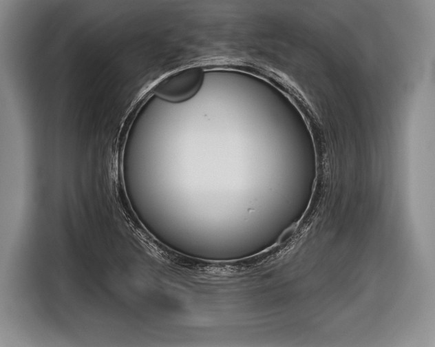 X0000116641220200912210955