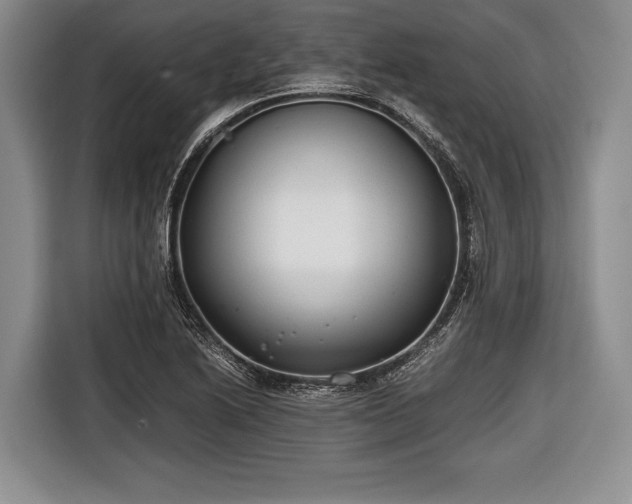 X0000116641222200912210955