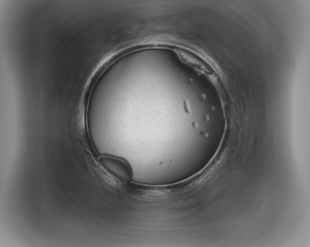 X0000116641224200912210955