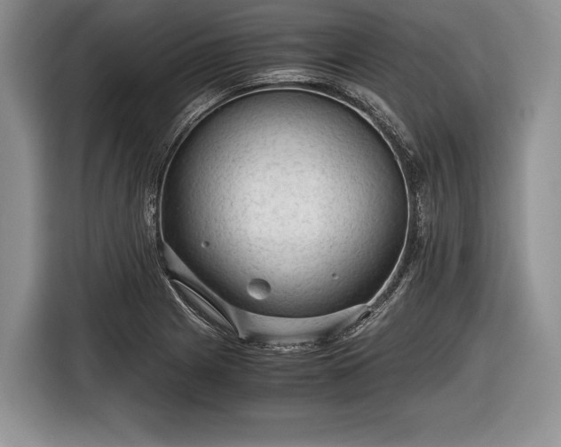 X0000116641225200912210955