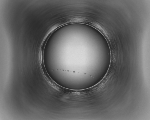 X0000116641227200912210955