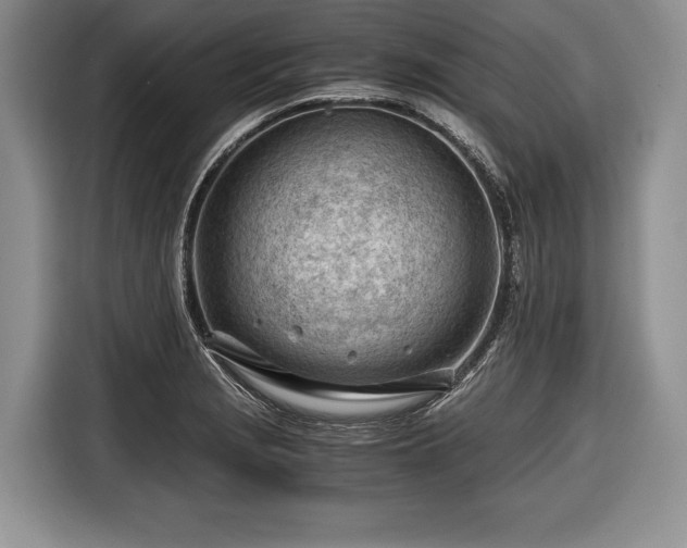 X0000116641229200912210955