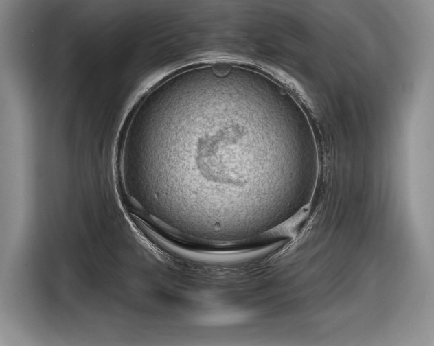 X0000116641231200912210955