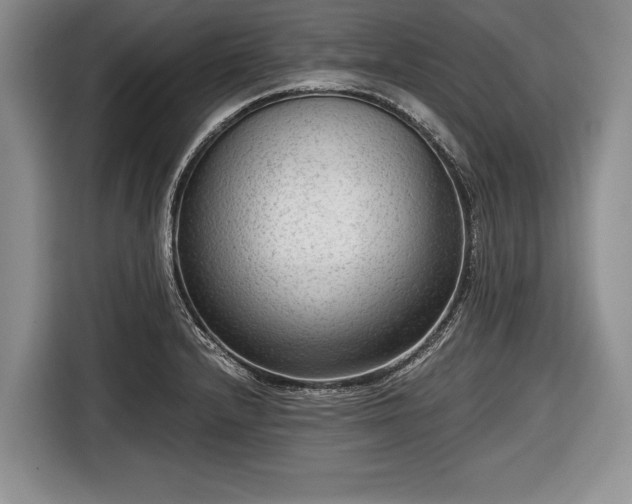 X0000116641232200912210955