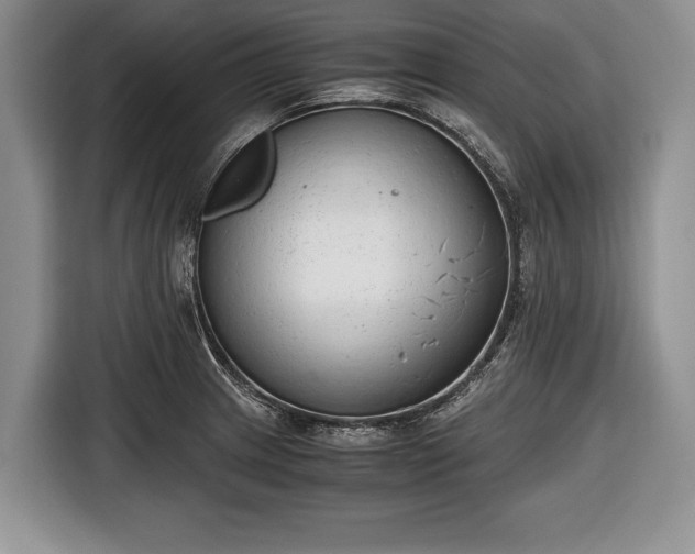 X0000116641233200912210955