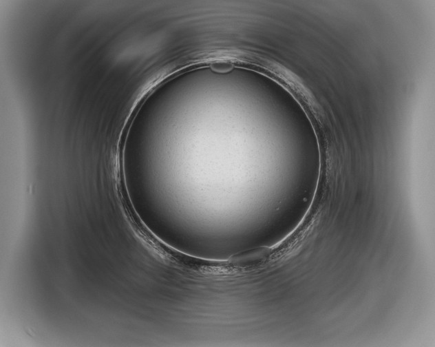 X0000116641234200912210955