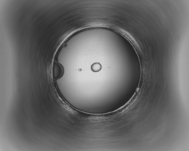 X0000116641236200912210955