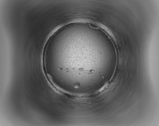 X0000116641237200912210955