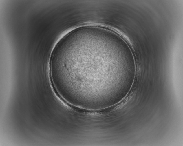 X0000116641239200912210955