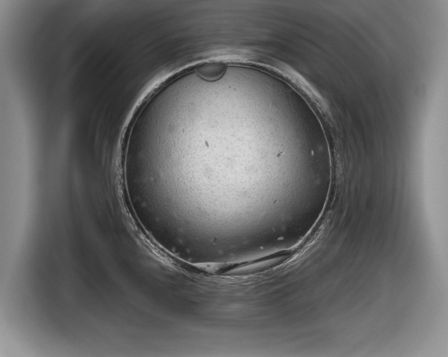 X0000116641240200912210955