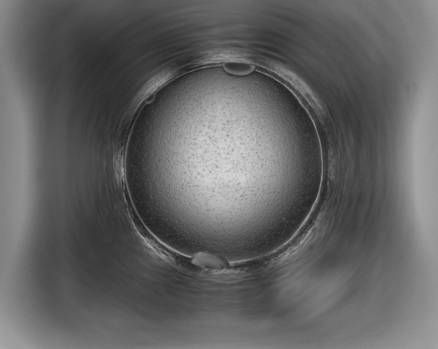 X0000116641241200912210955