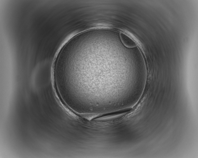 X0000116641243200912210955