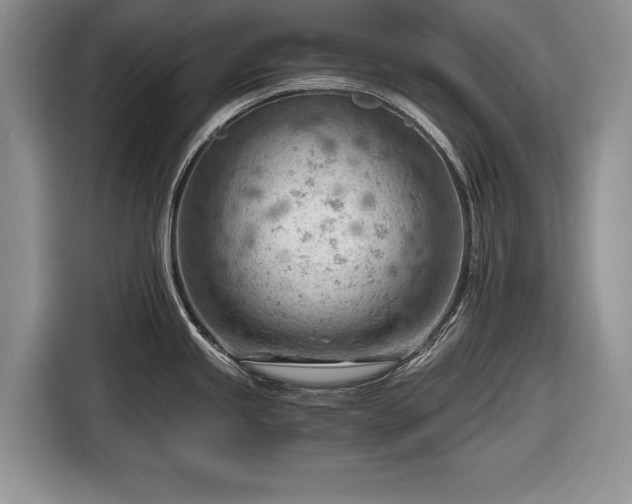 X0000116641245200912210955