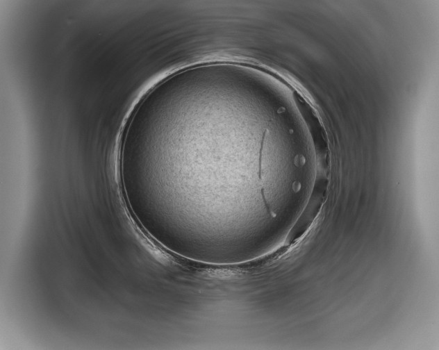 X0000116641246200912210955