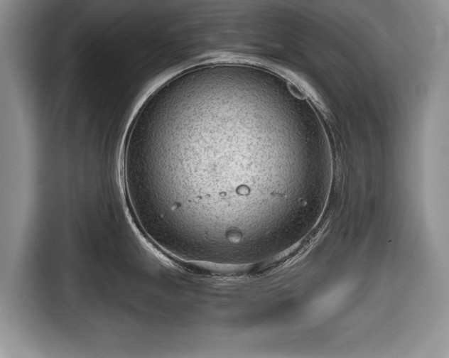 X0000116641247200912210955