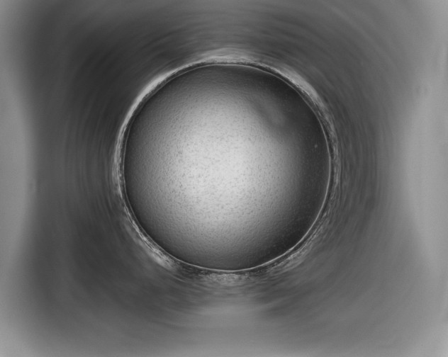 X0000116641248200912210955