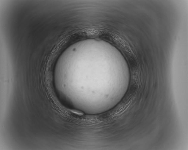 X0000116641249200912210954