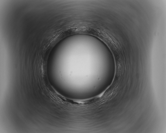 X0000116641250200912210954