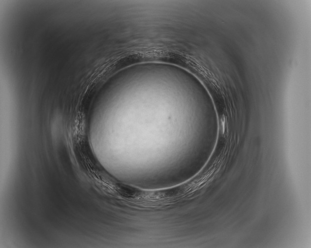 X0000116641251200912210954