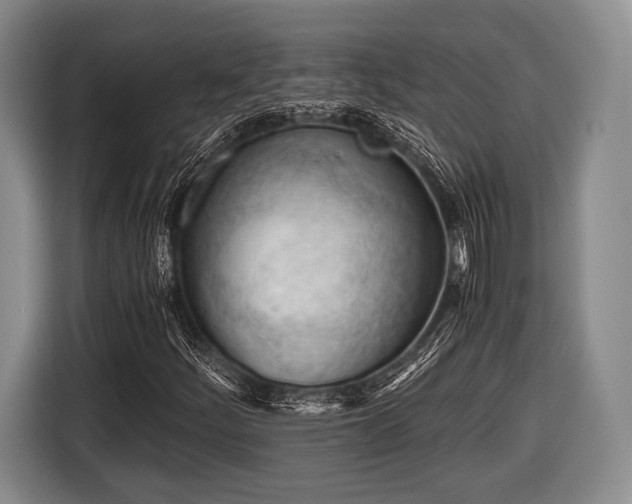 X0000116641252200912210954